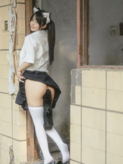 动物神探队_BD免费观看最新